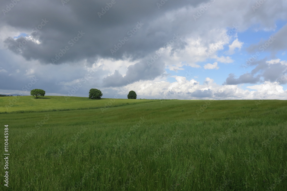 Obraz premium campagna