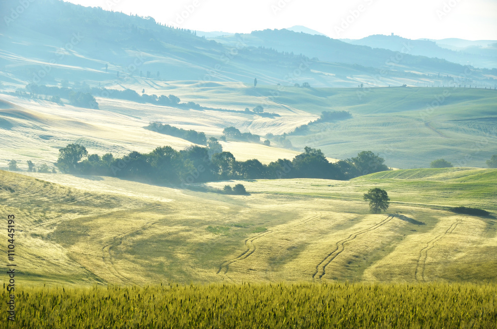 Early morning in Tuscany, Italy Early morning in Tuscany, Italy