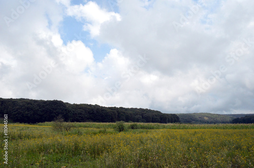 Campo abierto