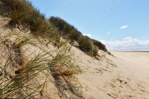 Sand dunes