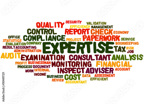 Expertise, word cloud concept 3