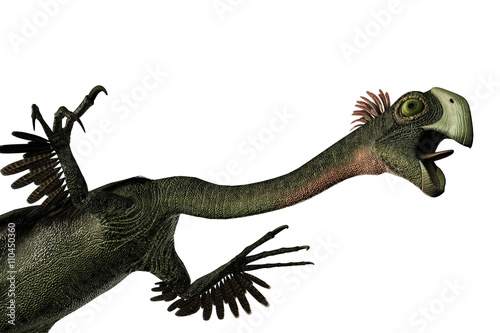 Gigantoraptor