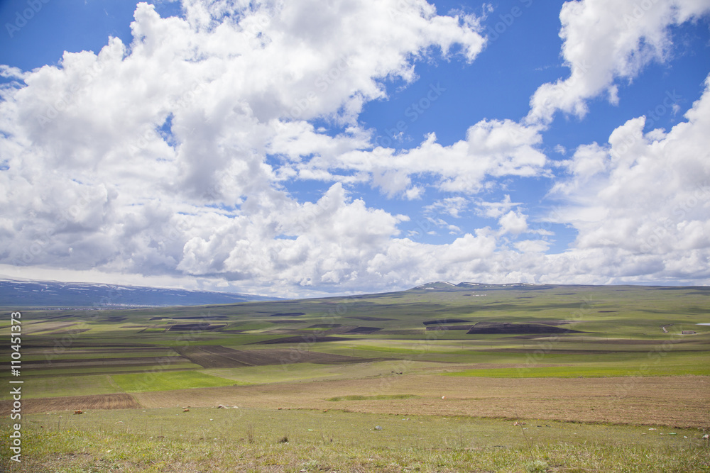 Fototapeta premium sky and field
