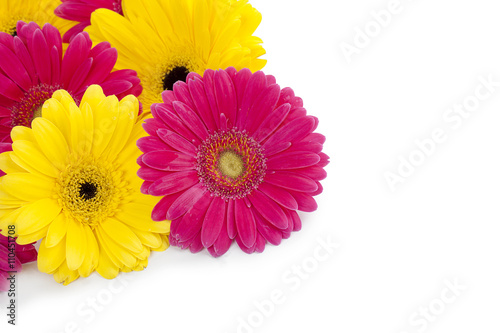 cropped image of pink and yellow flowers.