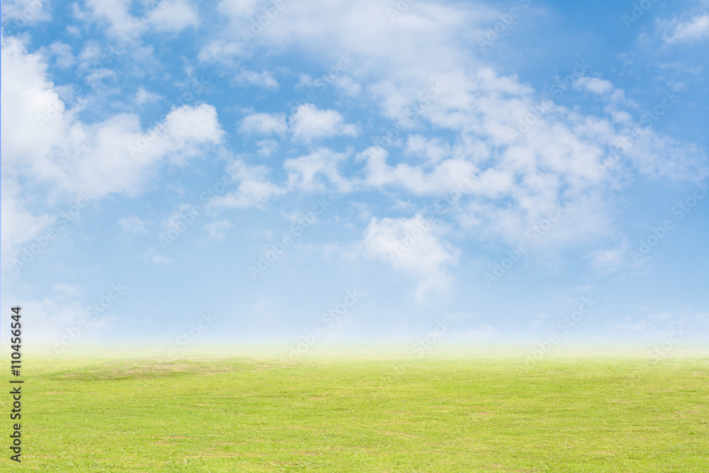 Background grass and sky