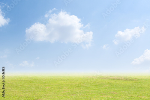 Background grass and sky