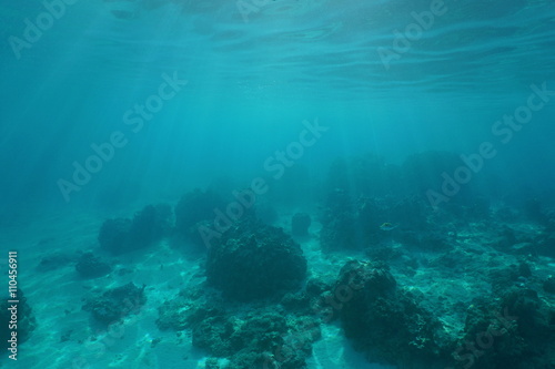 Fototapeta Naklejka Na Ścianę i Meble -  Underwater landscape, ocean floor with corals and sunlight through water surface, natural scene, Pacific ocean, French Polynesia