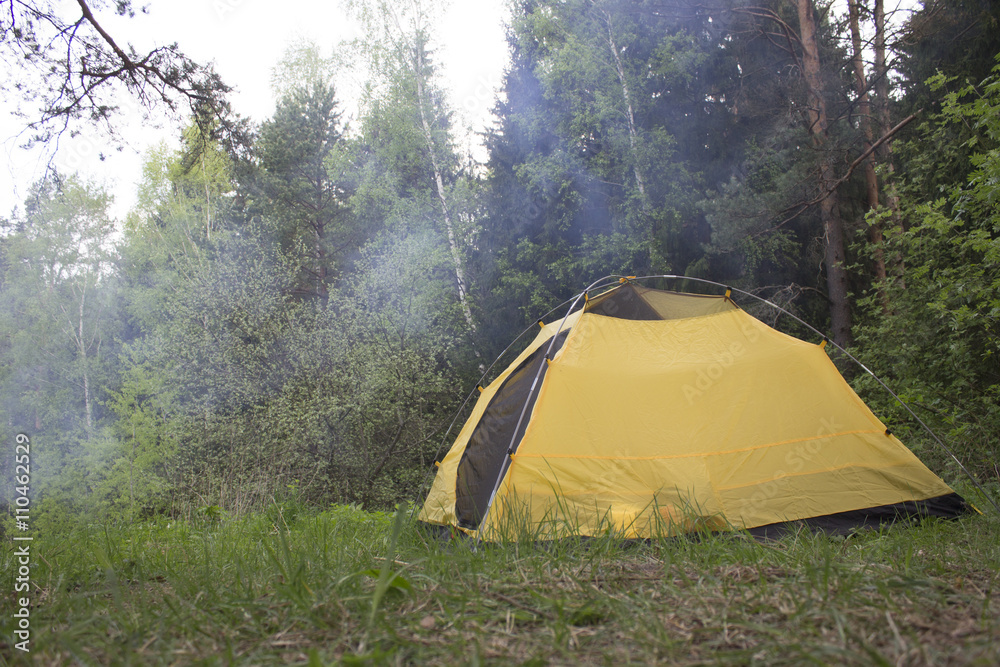 Camping in the Woods. Camping in forest. Сampsite.