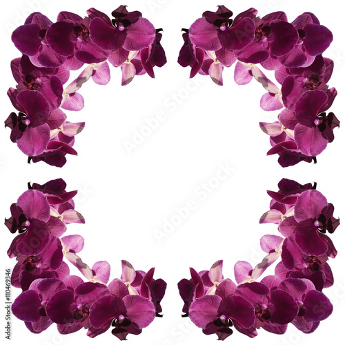 The pattern of the branches of a beautiful purple orchid 