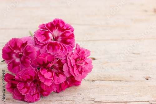 Bouquet of purple carnations on white wooden background © arturko