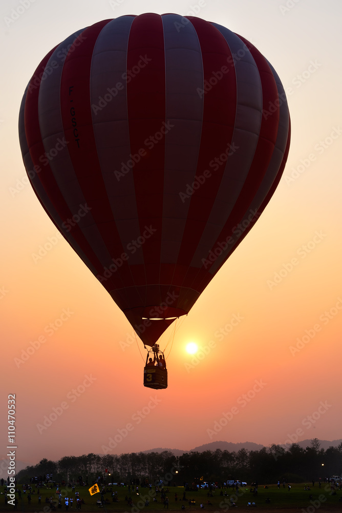 Naklejka premium Balloon Fiesta