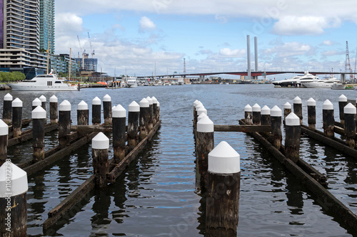 Wooden poles at the Melbourne Docklands in Melbourne, Victoria Harbour in Australia with the view of Bolte Bridge in the background photo