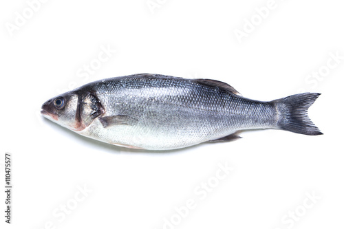 Canvas Print seabass fish isolated