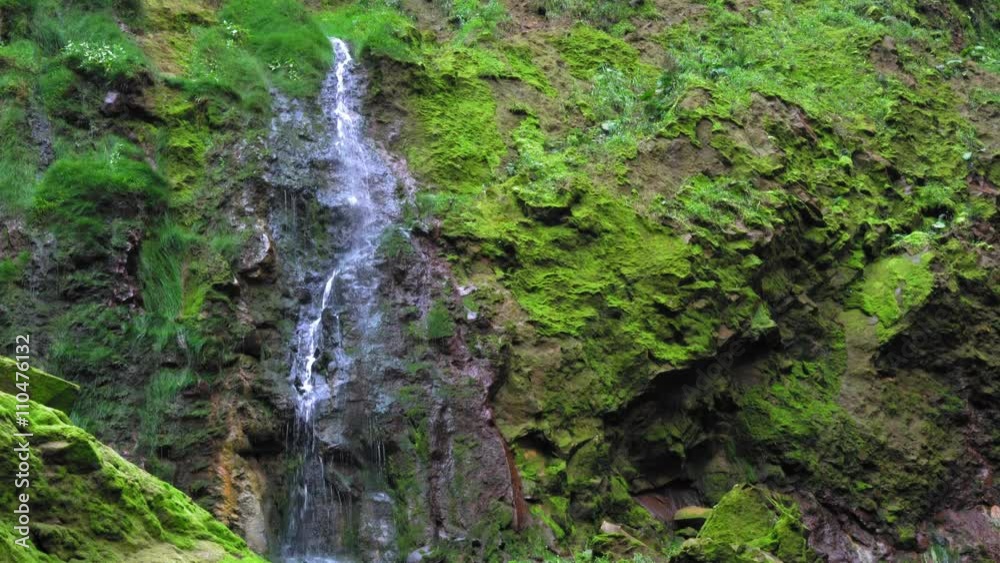 Low angle view of waterfall in forest; Costa Rica Low angle view of waterfall in forest; Costa Rica