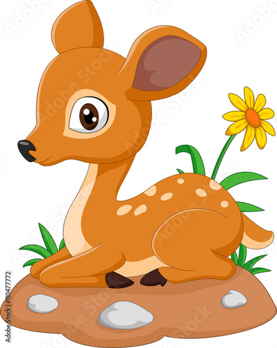 Mouse Deer cartoon illustration photo