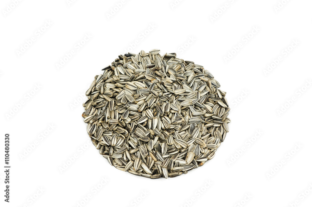 Sunflower seed on the white bowl Sunflower seed on the white bowl