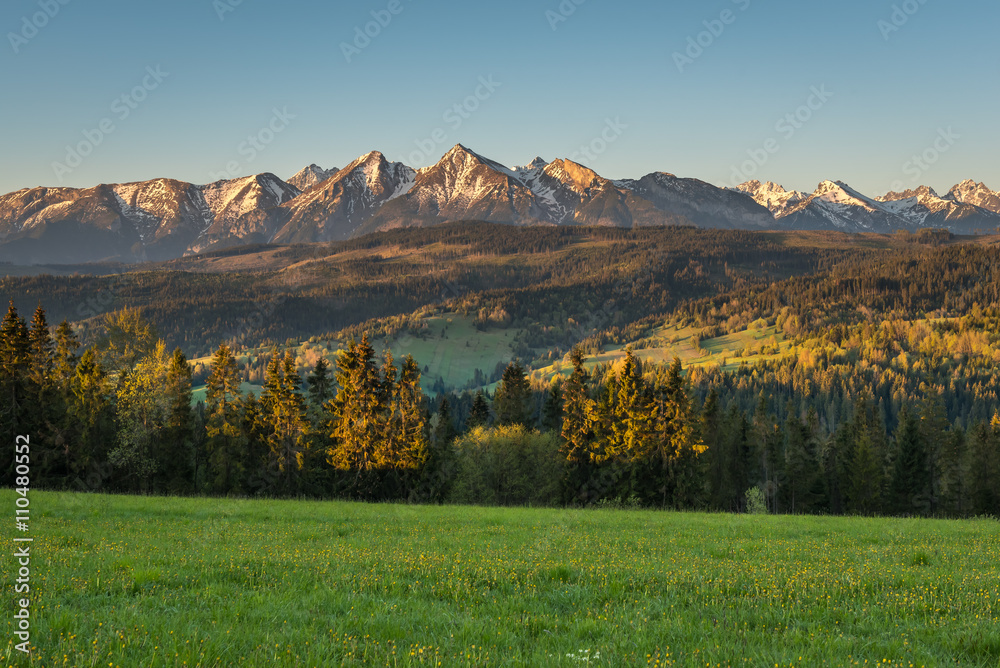 Morning panorama of Tatra Mountains in spring, Poland - obrazy, fototapety, plakaty 