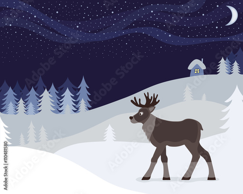 winter night and reindeer