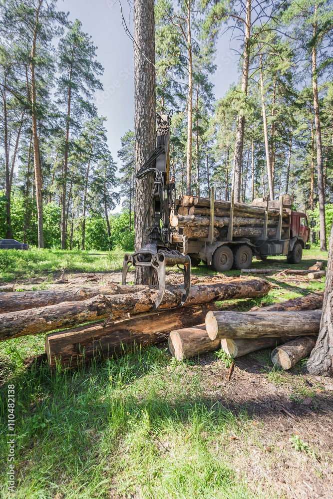  timber carrier