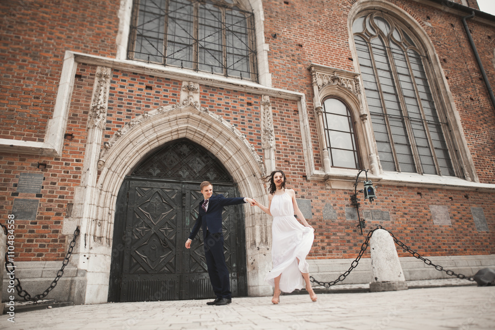 Gorgeous wedding couple, bride, groom posing near old gate building