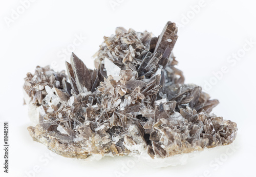 Collectible specimen of axi...