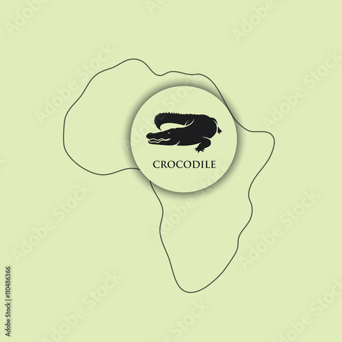 Crocodile