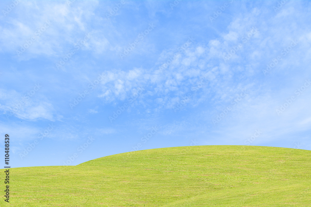 Background grass and sky