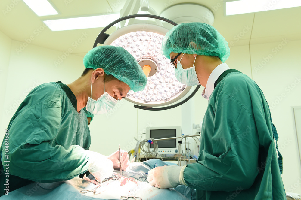 two veterinarian surgeons in operating room two veterinarian surgeons in operating room