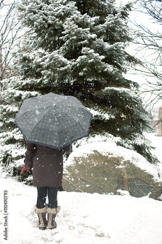 Fototapeta Naklejka Na Ścianę i Meble -  rear view of a teenage girl with a imbrella standing outdoors in snow.