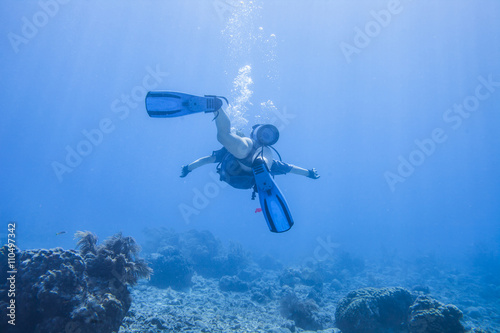 diver - dry tortugas national park photo