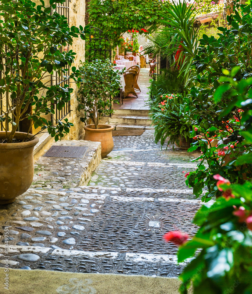 Obraz premium Francja