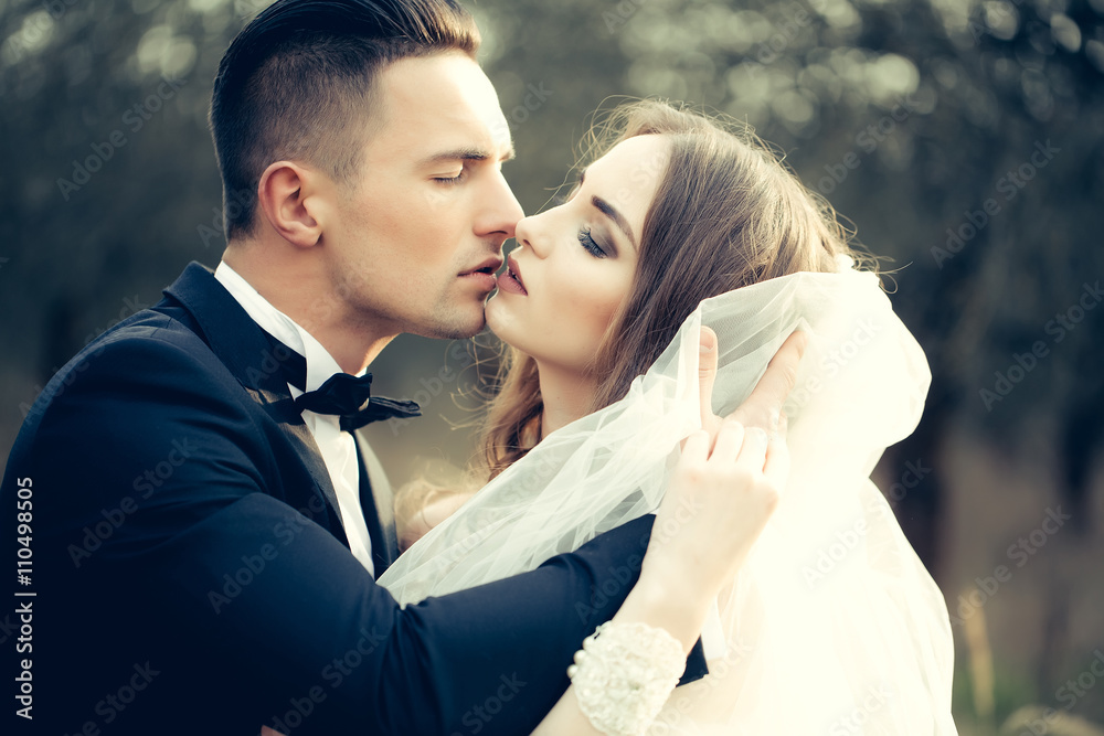 Kissing wedding couple Kissing wedding couple