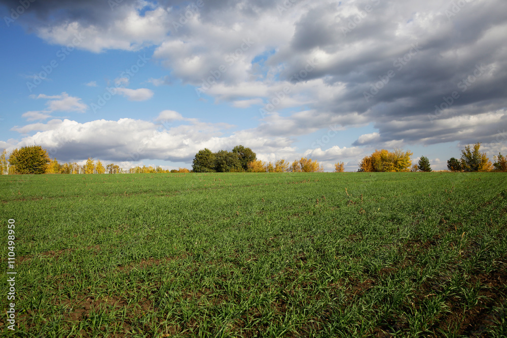Field Field