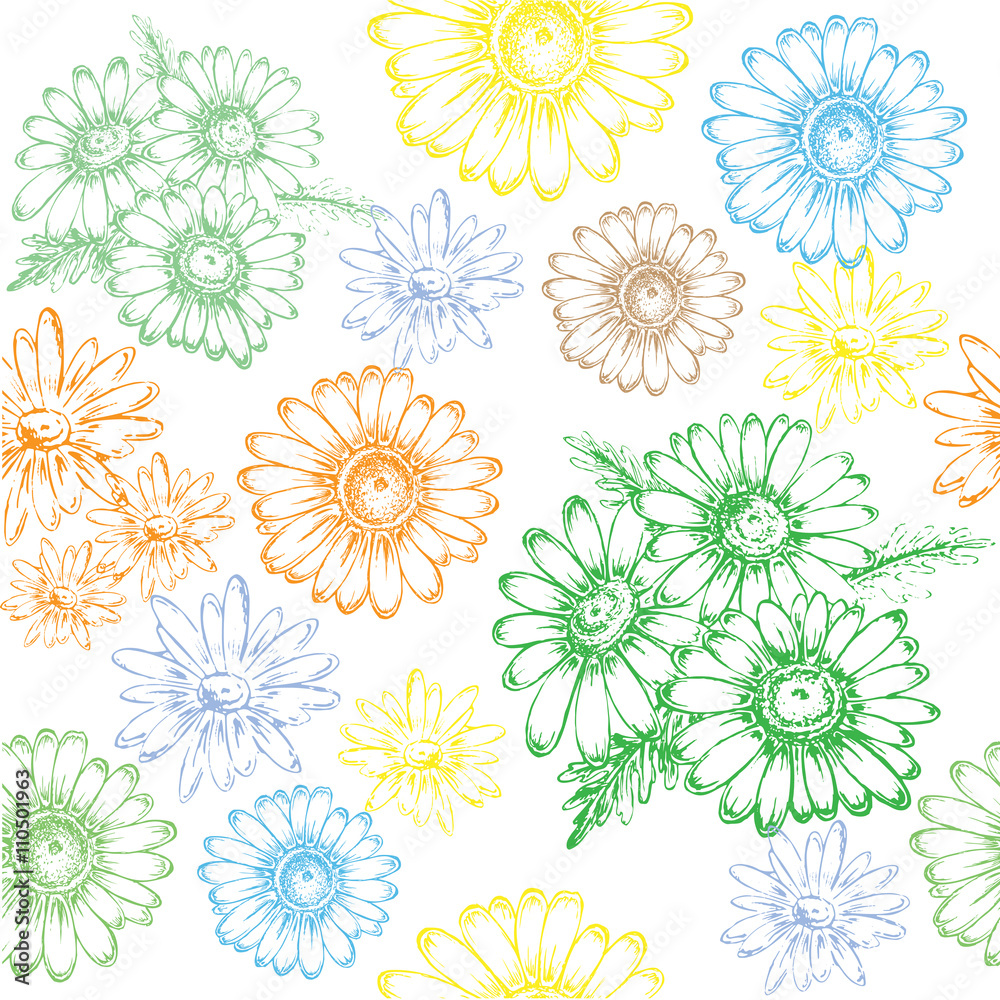 seamless pattern chamomile seamless pattern chamomile