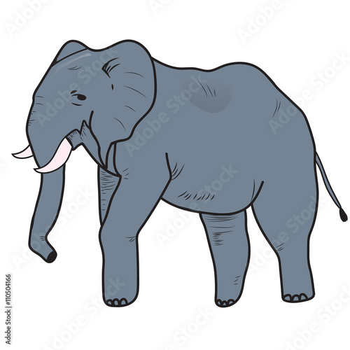 Illustration of the African elephant isolated on white background. Vector illustration. © nataliakarebina