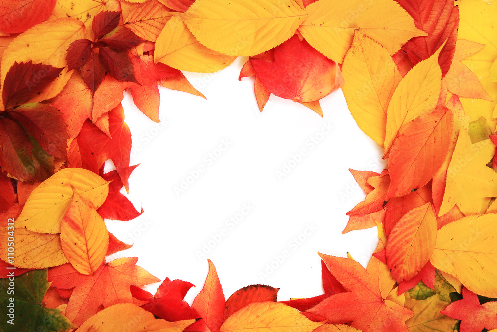 autumn leaves background autumn leaves background
