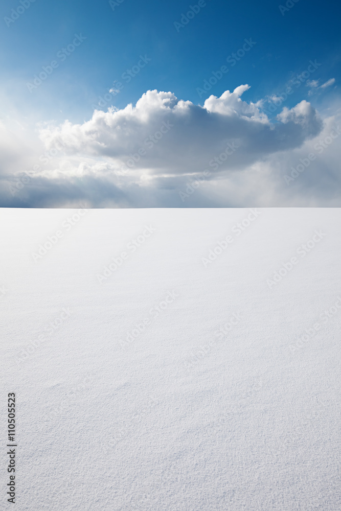 Winter perfection