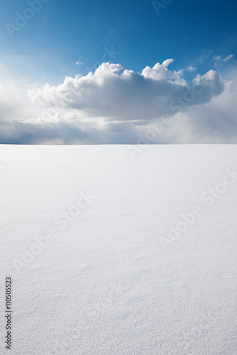 Obraz na płótnie Winter perfection w salonie