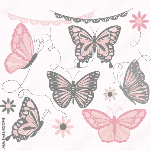 Pink and Grey Butterfly Collections.Butterfly Silhouette,Flower,Lace Border,Invitations