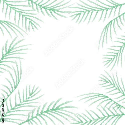 Green palm leaves isolated on white background.