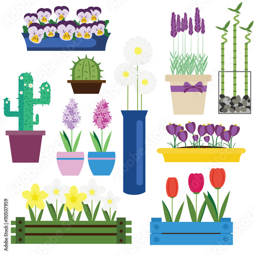 Indoor and garden flowers in pots vector set photo