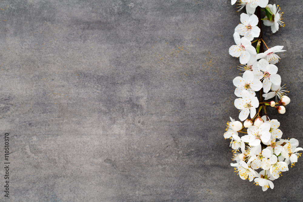 Spring cherry blossom on the gray background. Spring cherry blossom on the gray background.
