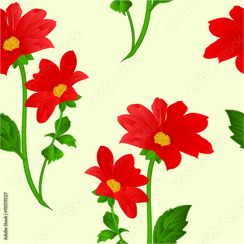 Seamless texture red Dahlia summer flower stem Vector illustration