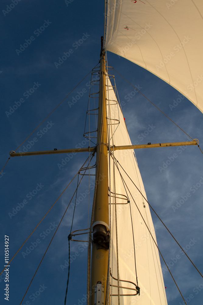 Fototapeta premium Mast mit Großsegel und Fok