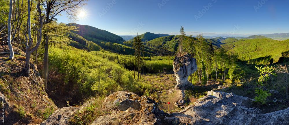 Spring forest mountain panorama landscape with sun