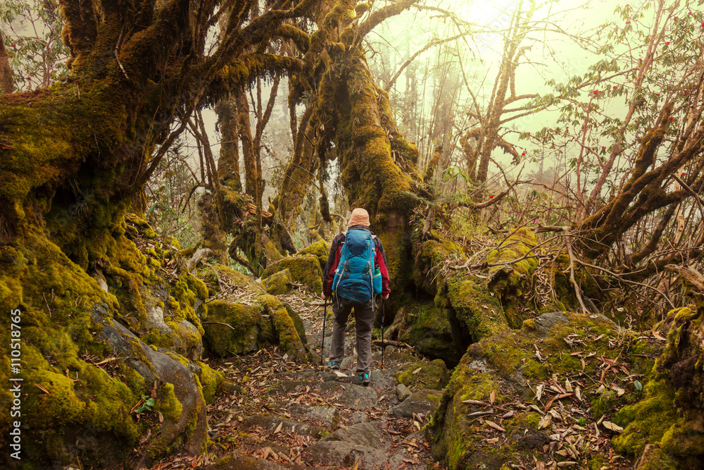 Hike in Nepal jungle