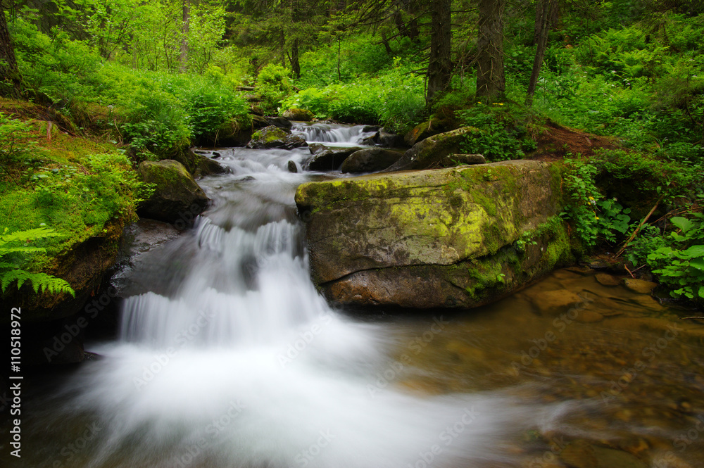  Stream in the wood