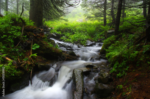 Creek in the woods