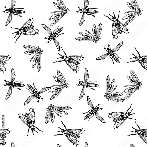 Seamless pattern with insects