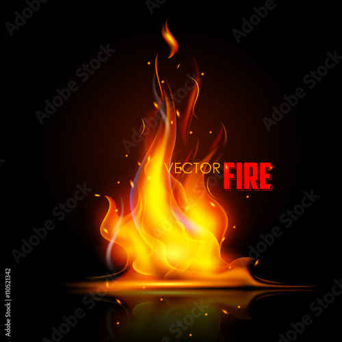Realistic Burning Fire Flame